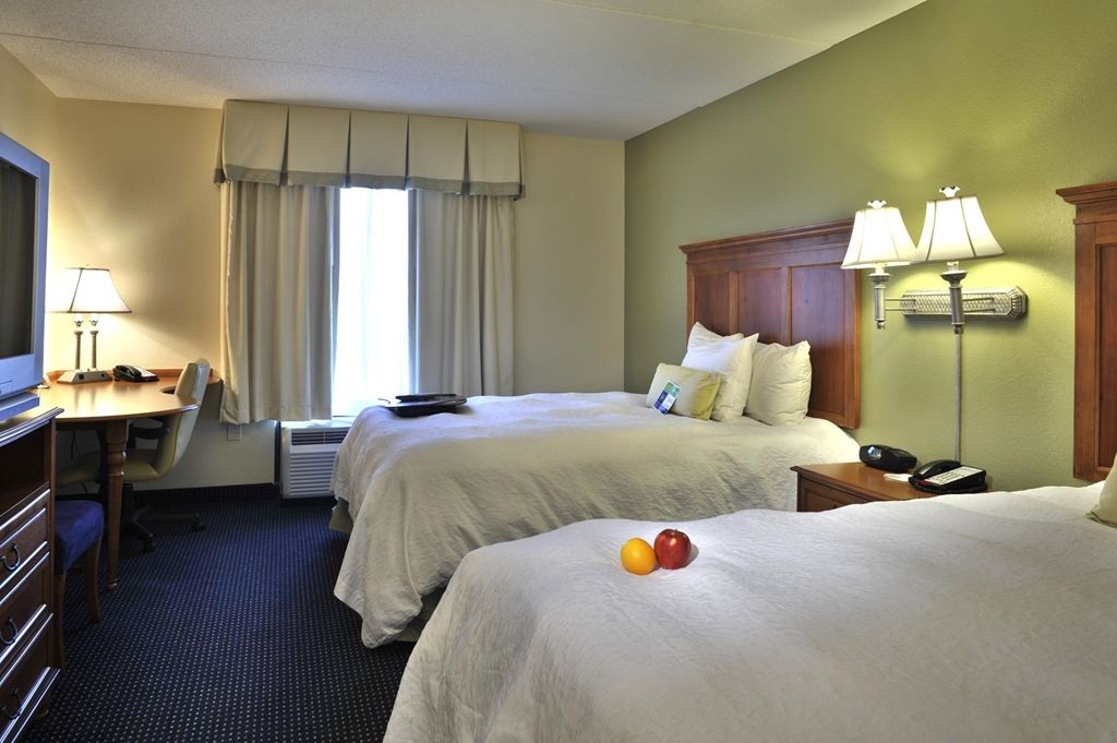 Hampton Inn & Suites Atlanta-Six Flags Lithia Springs Værelse billede