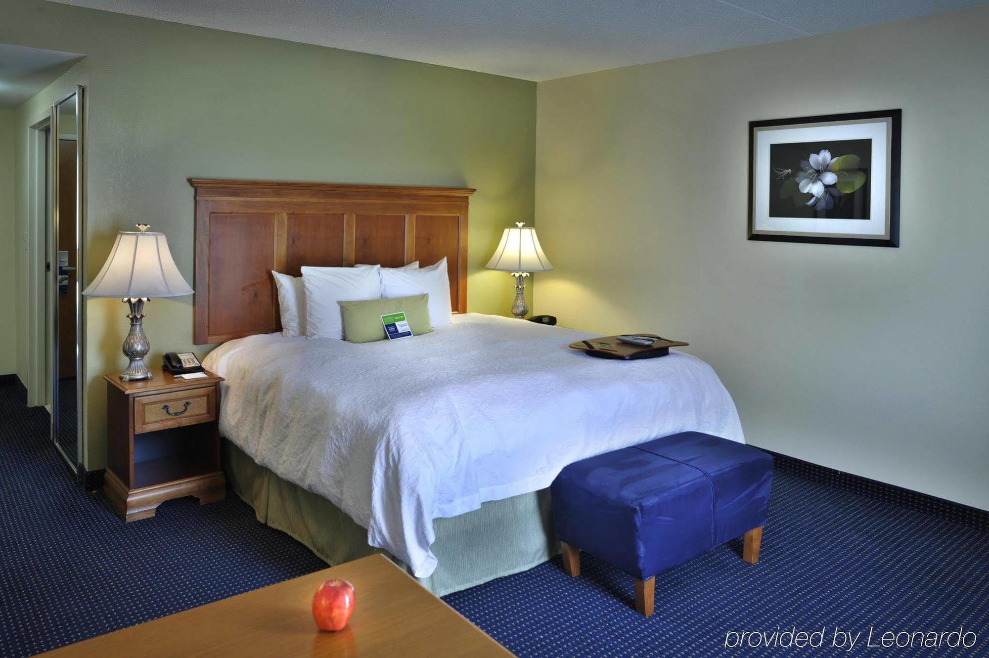 Hampton Inn & Suites Atlanta-Six Flags Lithia Springs Værelse billede